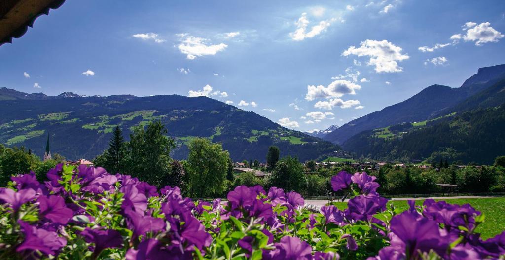 Villa Haidacher Relax & Lifestyle Apartments Zell am Ziller Pokój zdjęcie