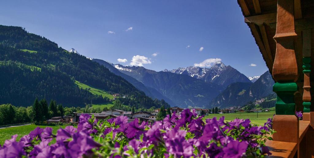 Villa Haidacher Relax & Lifestyle Apartments Zell am Ziller Pokój zdjęcie